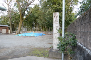 DSC_4672.JPG