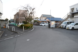 DSC_4705.JPG