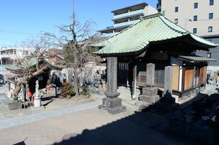 DSC_4735.JPG
