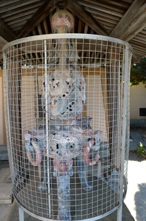 DSC_4775.JPG