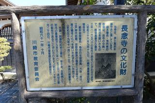 DSC_4782.JPG