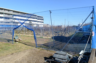 DSC_4802.JPG