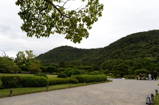DSC_4807.JPG