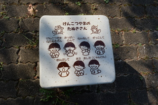 DSC_4824.JPG