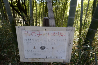DSC_4851.JPG