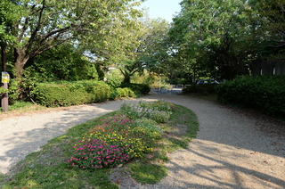DSC_4855.JPG