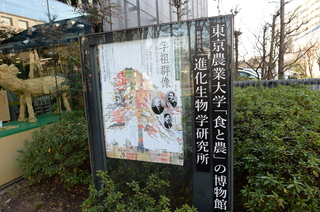 DSC_4960.JPG