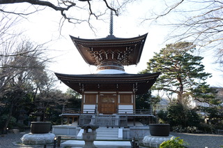 DSC_5010.JPG