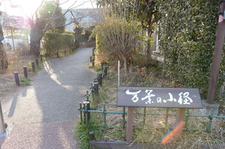 DSC_5088.JPG