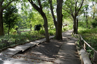 DSC_5117.JPG