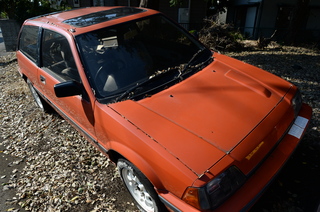 DSC_5142.JPG