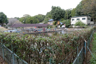 DSC_5194.JPG