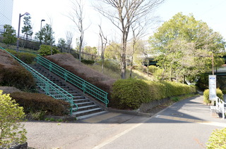 DSC_5210.JPG