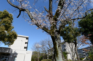 DSC_5230.JPG