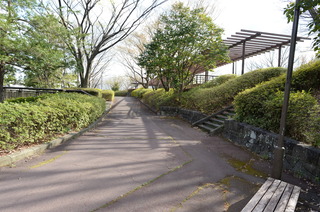 DSC_5292.JPG