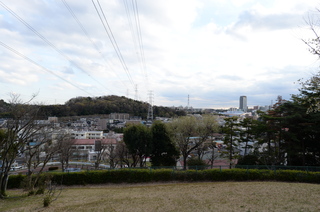 DSC_5335.JPG