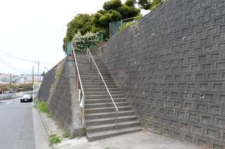 DSC_5380.JPG