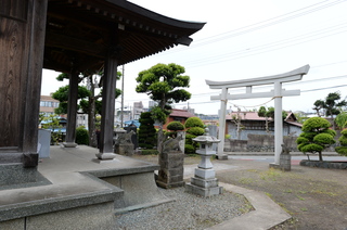 DSC_5386.JPG