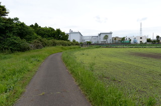 DSC_5416.JPG