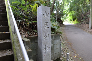 DSC_5431.JPG