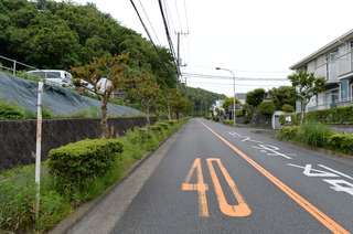 DSC_5469.JPG