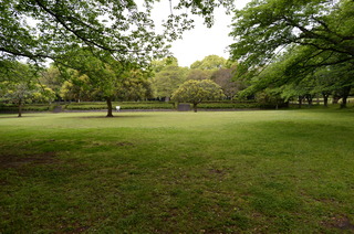 DSC_5482.JPG
