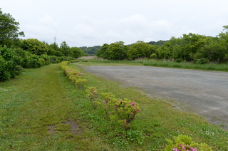 DSC_5505.JPG