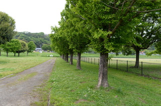 DSC_5508.JPG