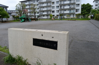 DSC_5537.JPG