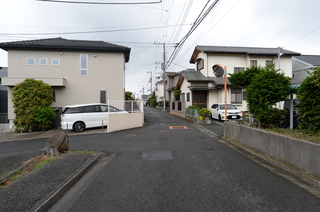 DSC_5542.JPG