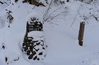 DSC_5561.JPG