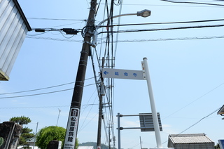DSC_5595.JPG
