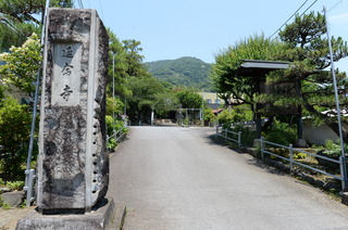 DSC_5597.JPG