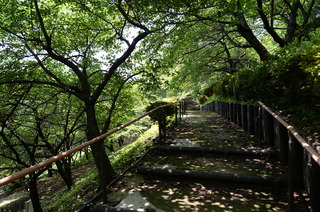 DSC_5650.JPG