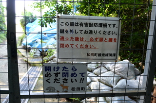 DSC_5704.JPG