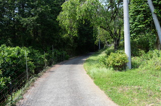 DSC_5712.JPG