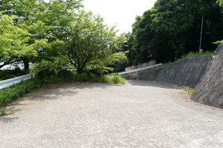 DSC_5724.JPG