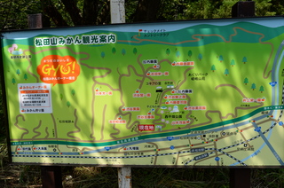 DSC_5735.JPG