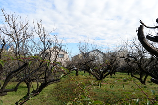 DSC_5755.JPG