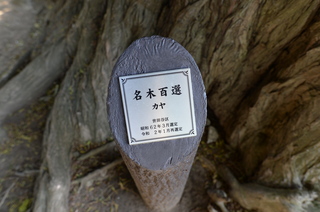 DSC_5866.JPG