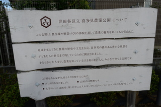 DSC_5879.JPG