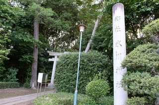 DSC_5897.JPG