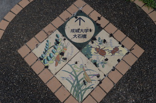 DSC_6187.JPG
