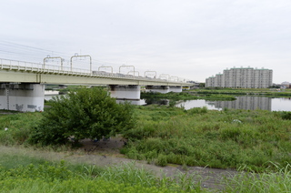 DSC_6228.JPG