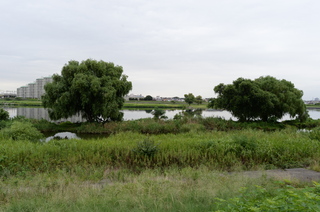 DSC_6230.JPG