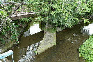 DSC_6276.JPG