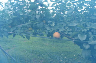 DSC_6314.JPG