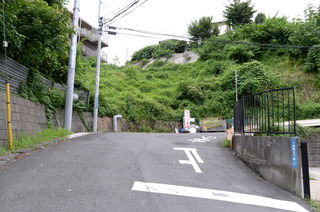 DSC_6319.JPG