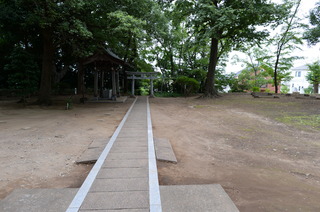 DSC_6349.JPG