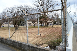 DSC_6381.JPG
